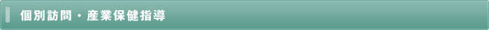 個別訪問・産業保健指導