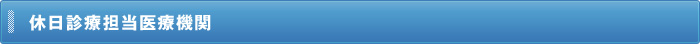 休日診療担当医療機関