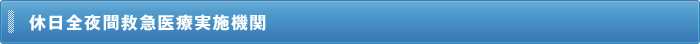 休日全夜間救急医療実施機関